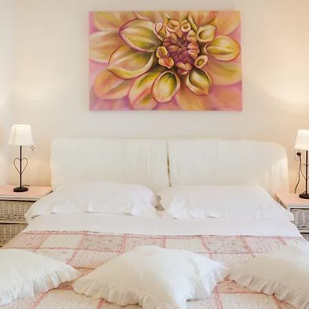 Suzy&demi 斯普利特